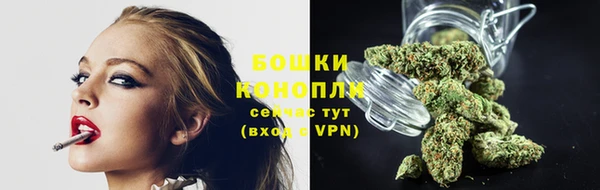 PSILOCYBIN Абдулино