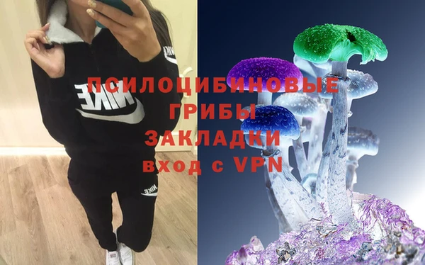 PSILOCYBIN Абдулино