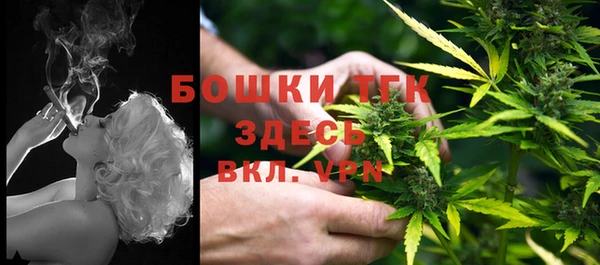 PSILOCYBIN Абдулино