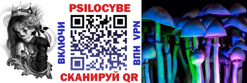 как найти закладки Тырныауз Псилоцибиновые грибы прущие грибы